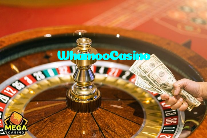 available types of WhamooCasino bet including pre-match live express and system bets